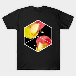 Thanksgiving Apple Fruit Hexagon Abstract Wall Art T-Shirt